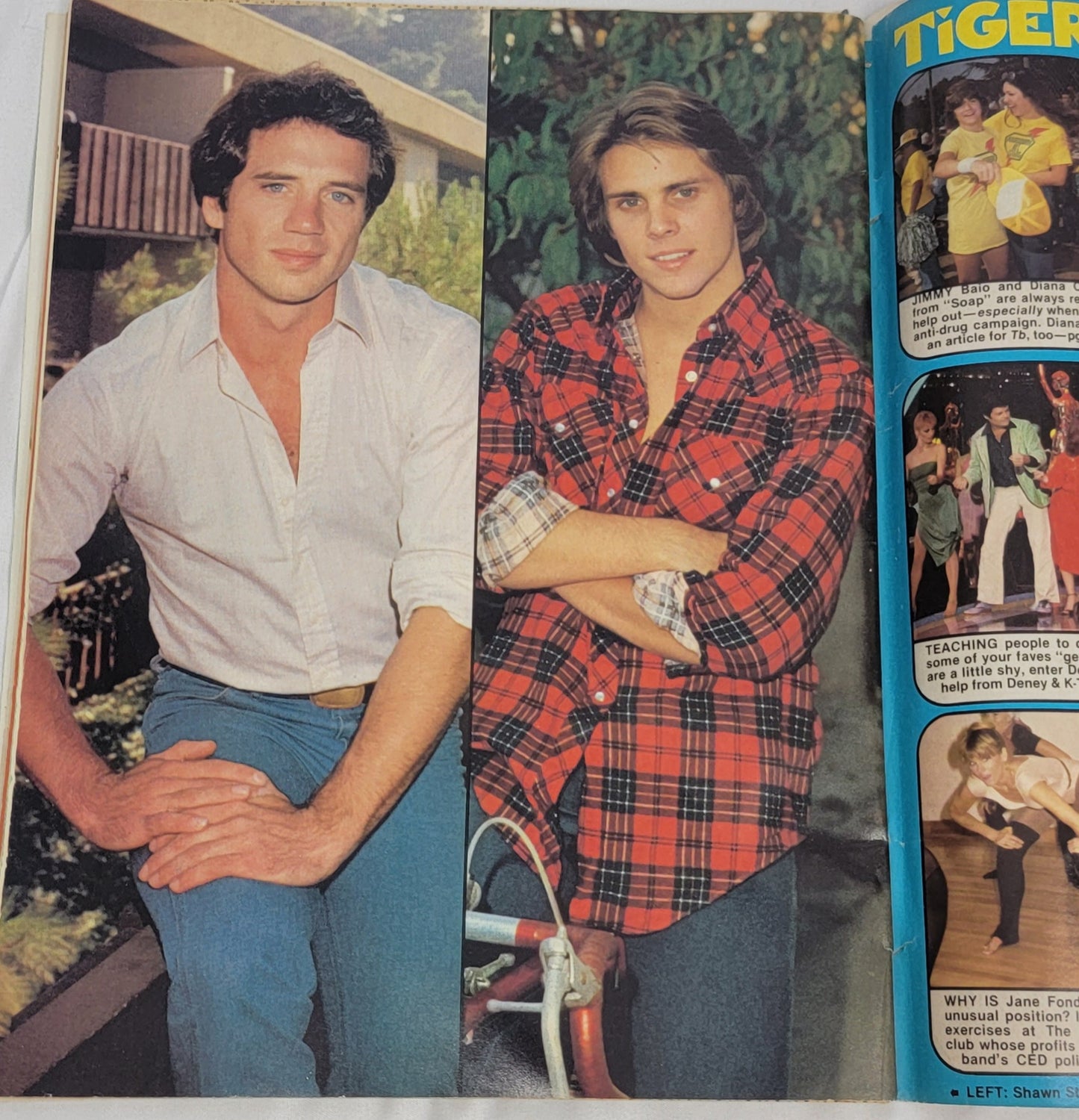 TIGER BEAT Magazine, March 1980